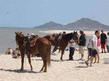 horseback riding in San Felipe, Mexico