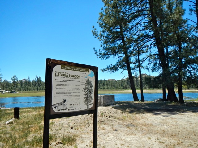 Laguna Hanson sign