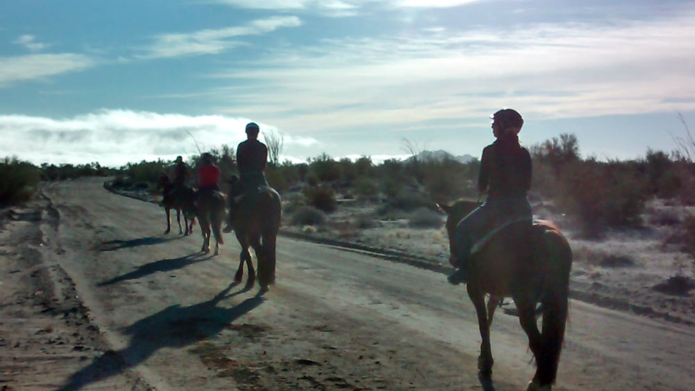 San Felipe Baja guided horse trail rides