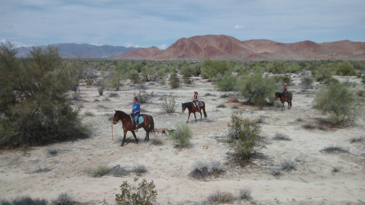 horseback riding in San Felipe, Mexico