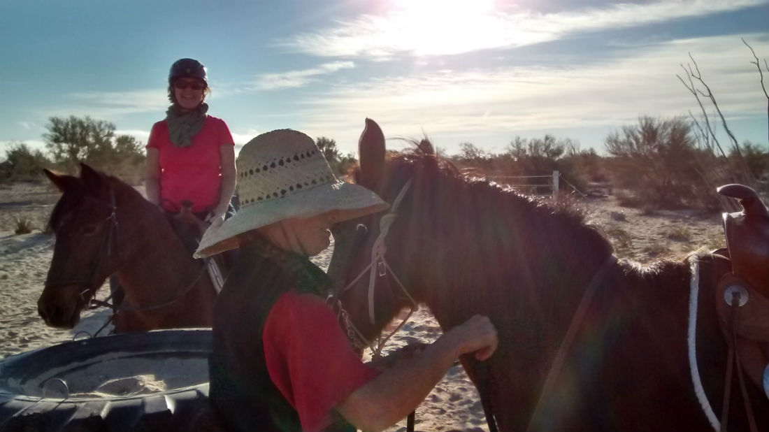 San Felipe Mexico horse rentals