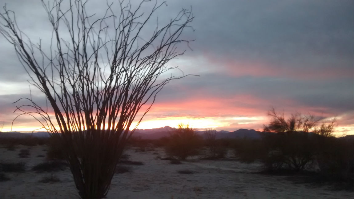 San Felipe sunset horse rental trail rides