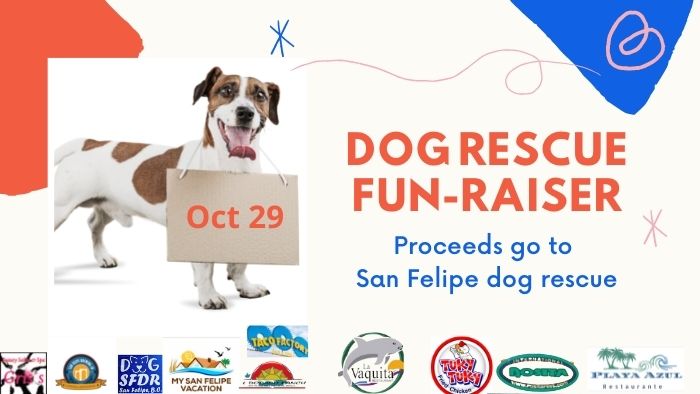 San Felipe dog rescue fund raiser