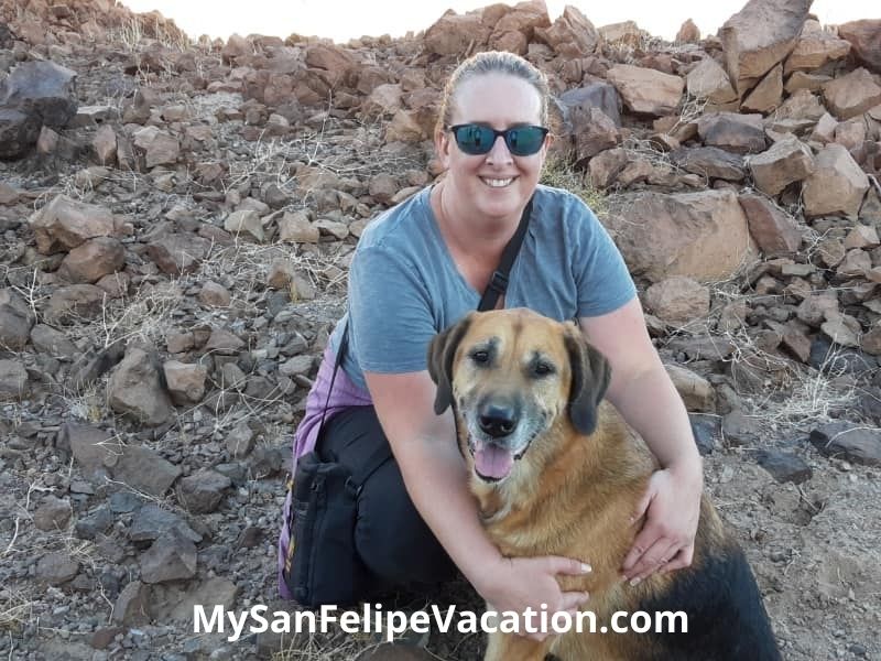 Hiking with pet in San Felipe 