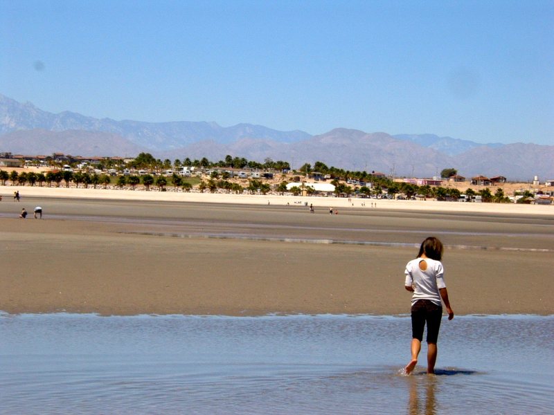 Clamming at El Dorado Ranch San Felipe beach