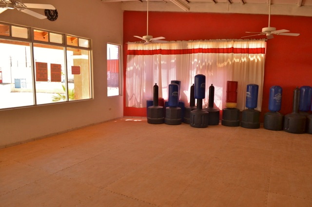 Squatts gym punching bags 