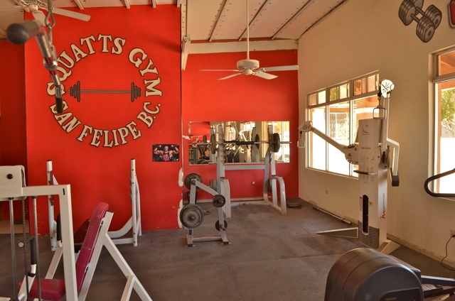 Squatts gym San Felipe logo 