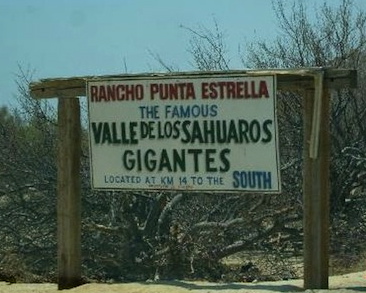 San Felipe valley of the giants road signboard